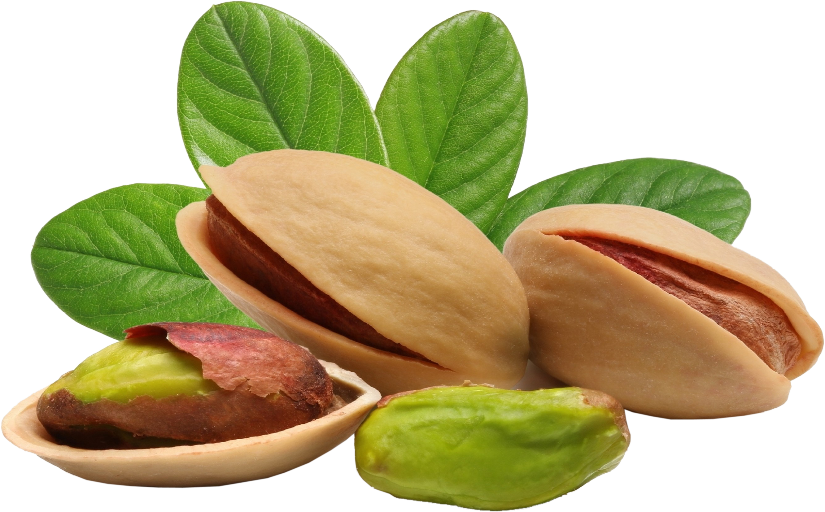 Wholesale price of pistachios in Istanbul
