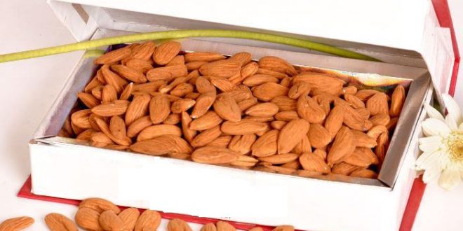 Packaging and export of Mamra almonds