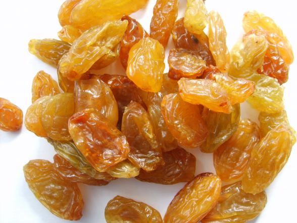 Export of high quality raisins to Iraq _ Nutex company