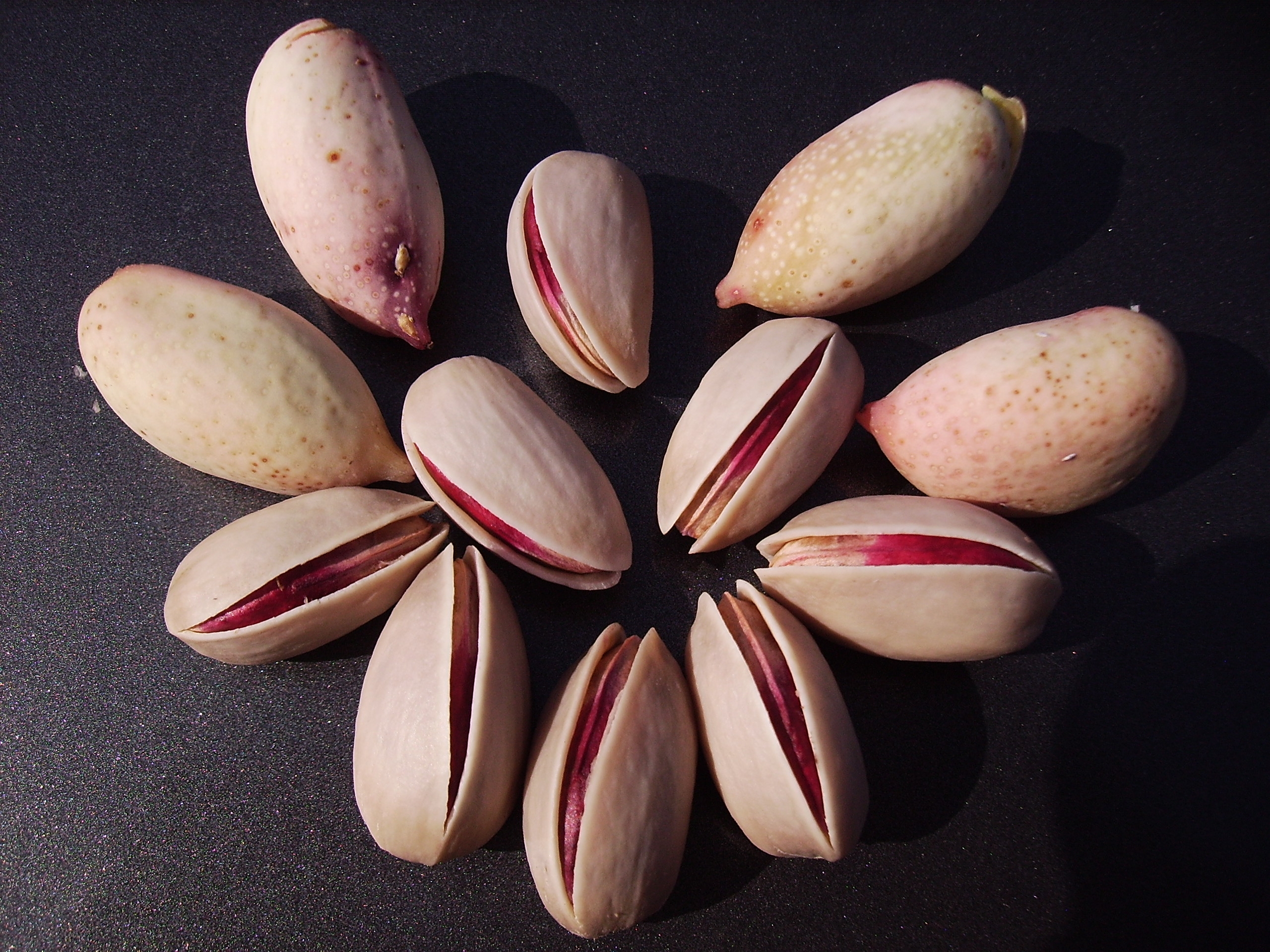  Export of Ahmad Aghaei Iranian pistachios