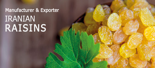 Export of persian raisins _ Nutex company