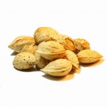 Export of Iranian raw Moheb almonds