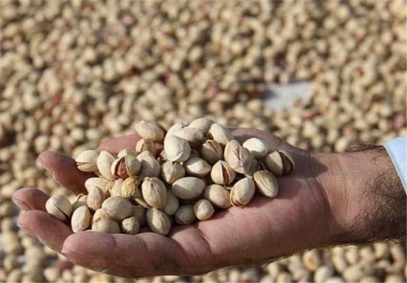 Export of All kinds Iranian pistachios to China