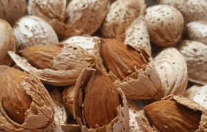 Buy Iranian quality paper almonds
