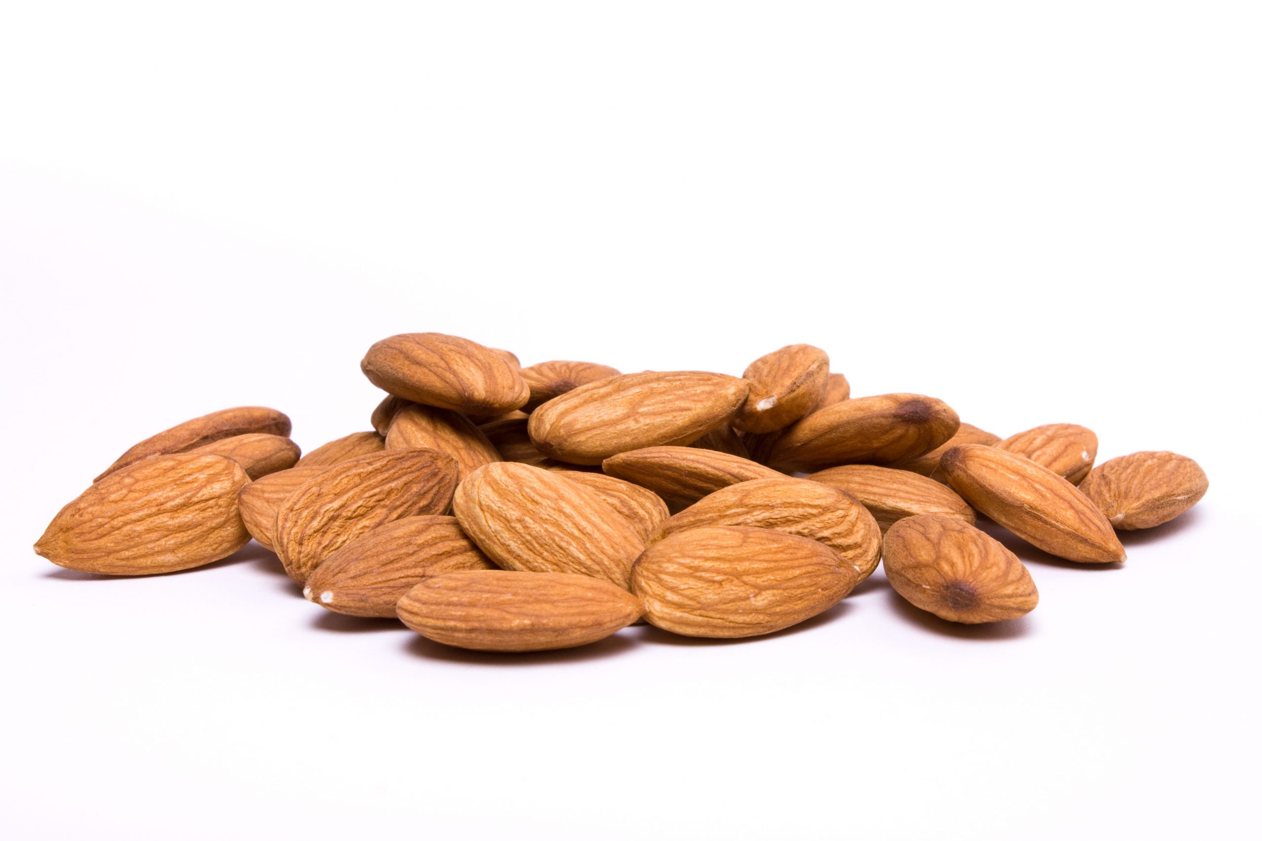 Direct exporter of Mamra almond kernels