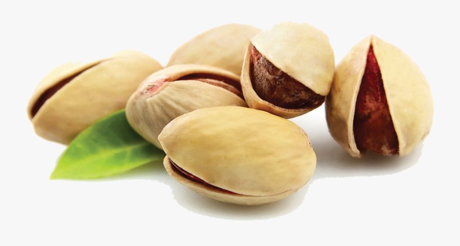 Export of Iranian raw pistachios to Brazil
