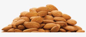 Export of Mamra almonds to the UAE
