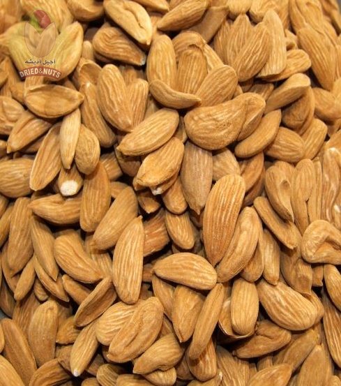 Export of Mamra almonds to Russia