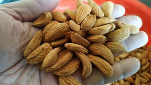 Iranian Almond Kernel Production Center