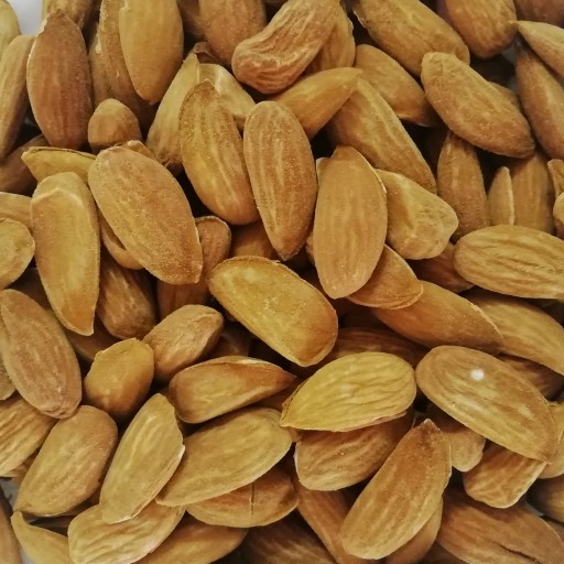Export of the best almonds in Iran