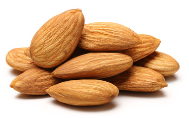 Export of Mamra almonds from Nutex company