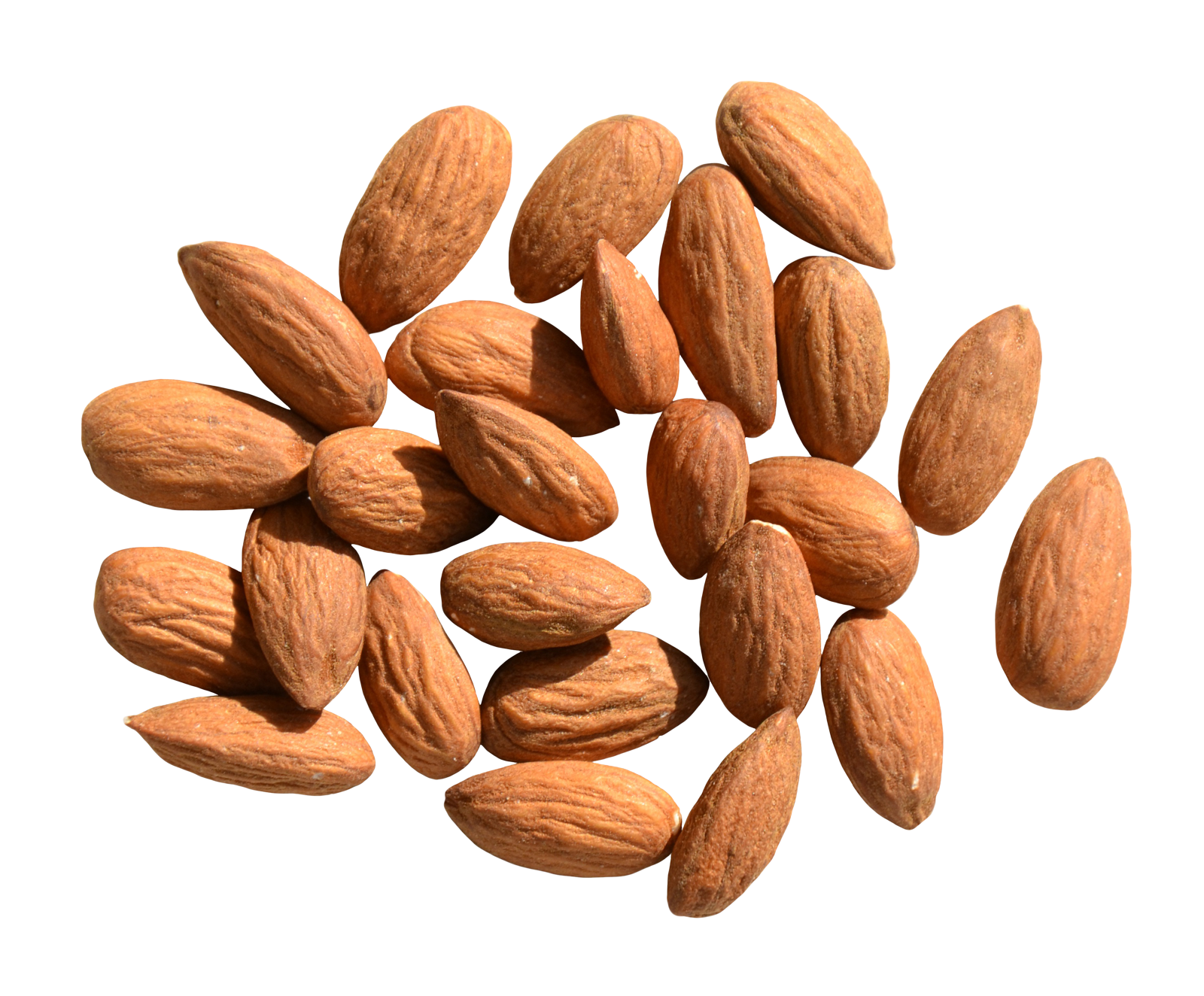 Saman Mamra Almond Kernel Export Company _ Nutex Trading  is one of the large and reputable companies in the field of production and export of Mamra almond kernels in Iran.