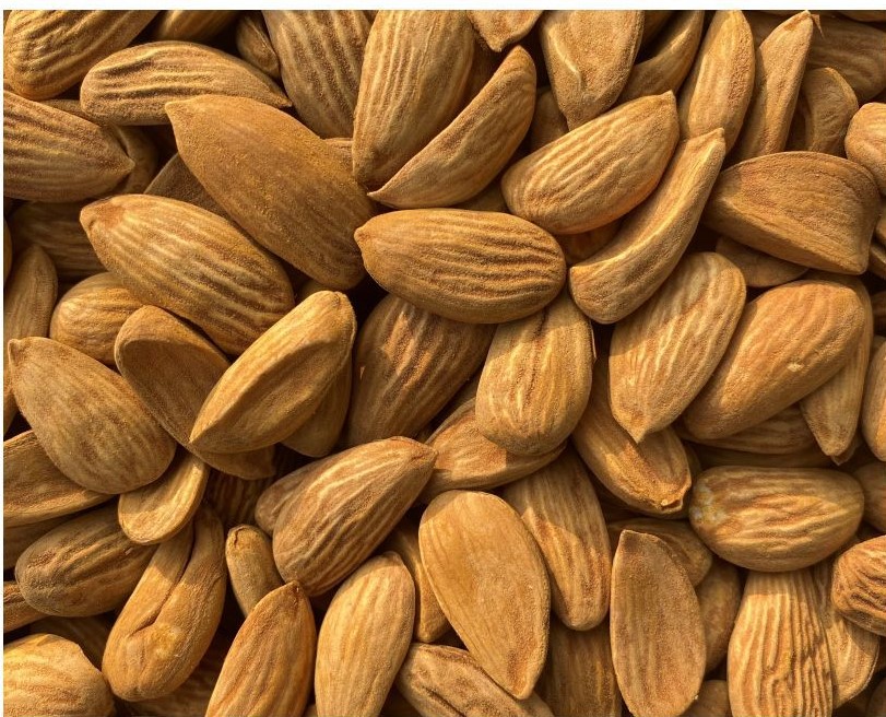 Prices of Mamra almond kernels in India