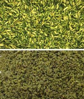 High quality Iranian pistachio powder and slices