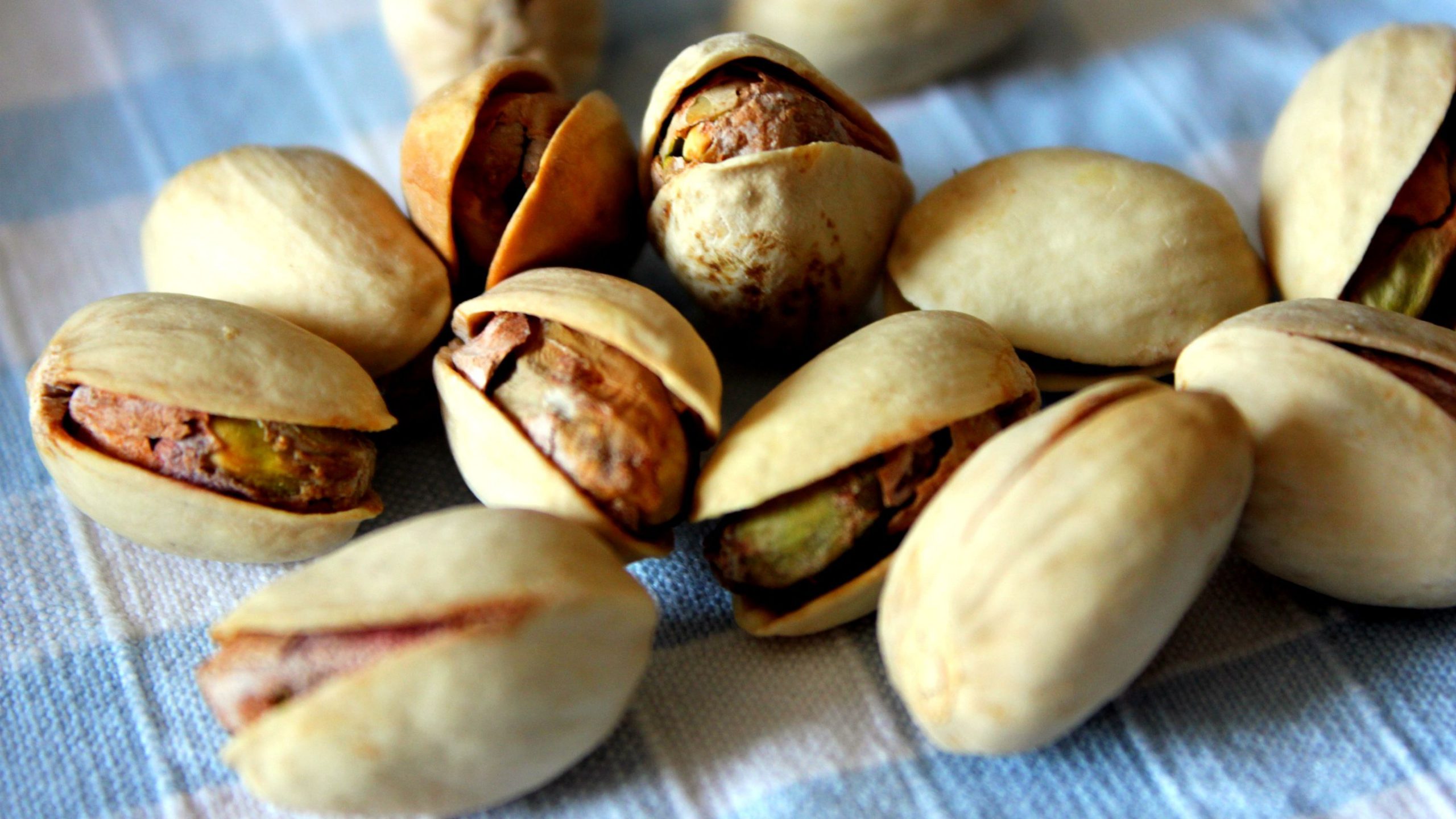 Major export of smiling pistachios to Malaysia