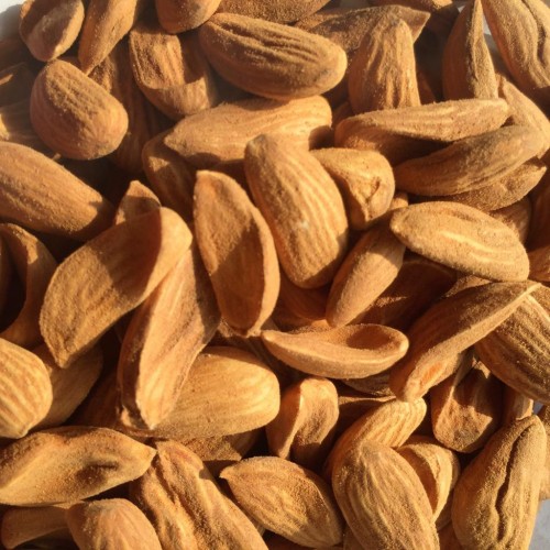 Buy Saman quality Mamra almonds