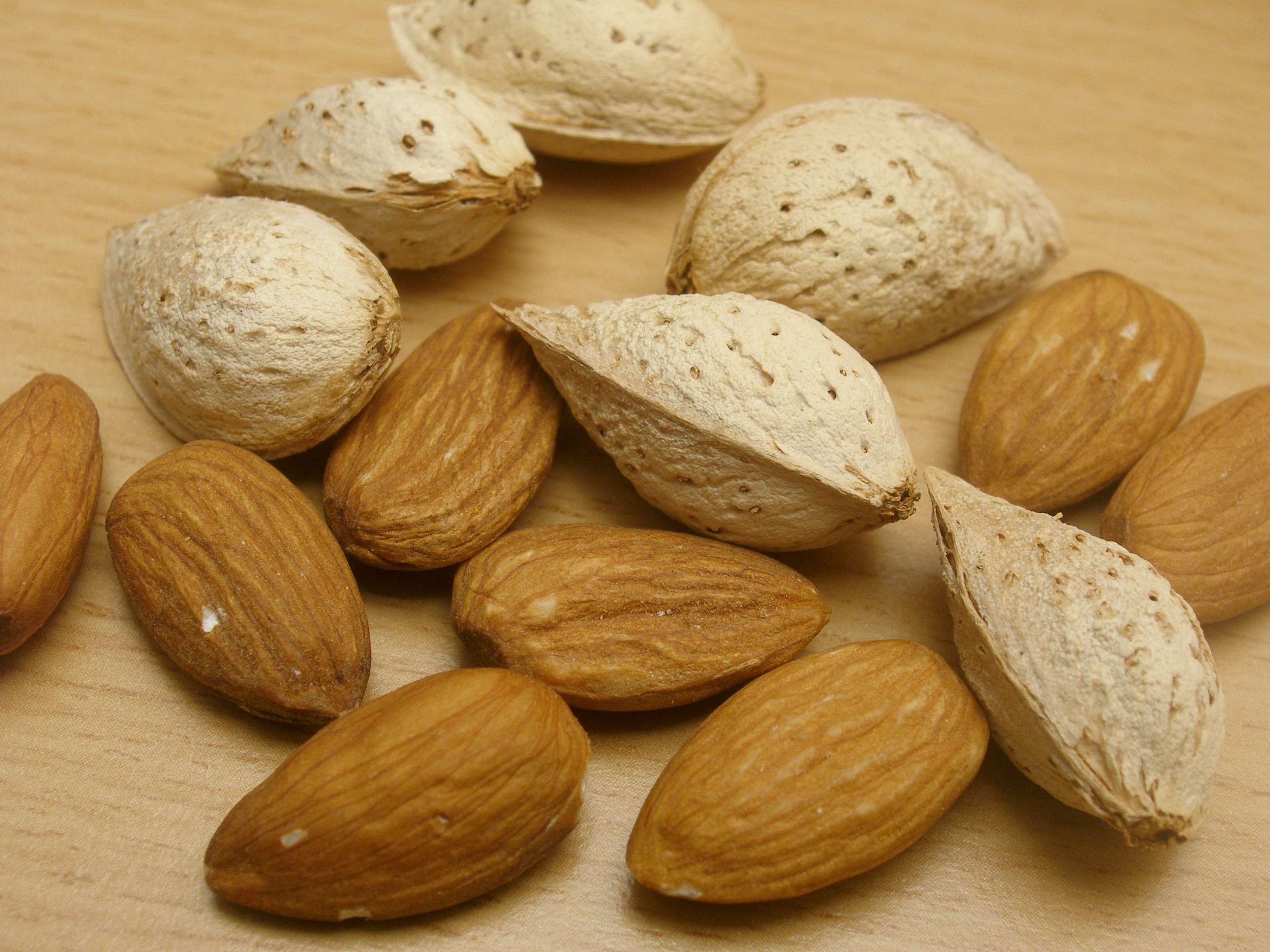 Sale of Saman Iranian paper almonds