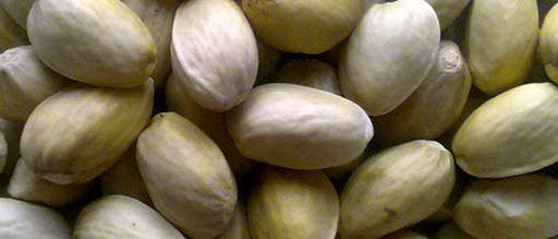 Major exports of closed-mouth pistachios to European countries