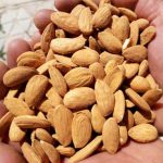 Buy first-class almond kernels 