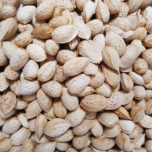 Buy Iranian quality paper almonds