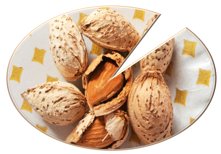 Sale of exportable Moheb almonds