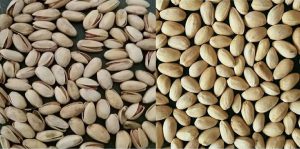 Price of Kale Ghouchi closed mouth pistachio