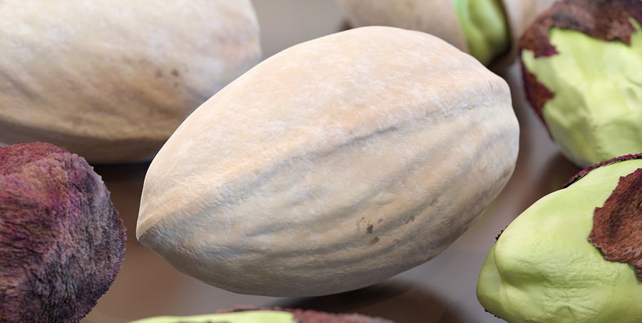 Major exports of closed-mouth pistachios to European countries