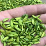 Export of Iranian pistachio slices to Romania
