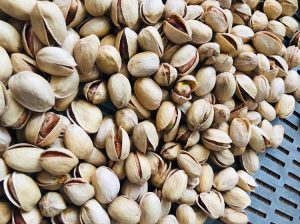Mechanical Open Pistachios for Sale/ Supplier & Exporter