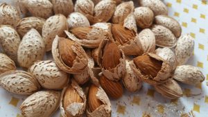 buy Iranian classy paper almonds