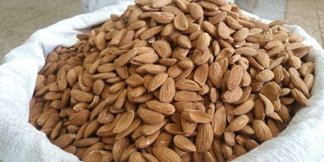 Prices of Iranian almond kernels for export / import