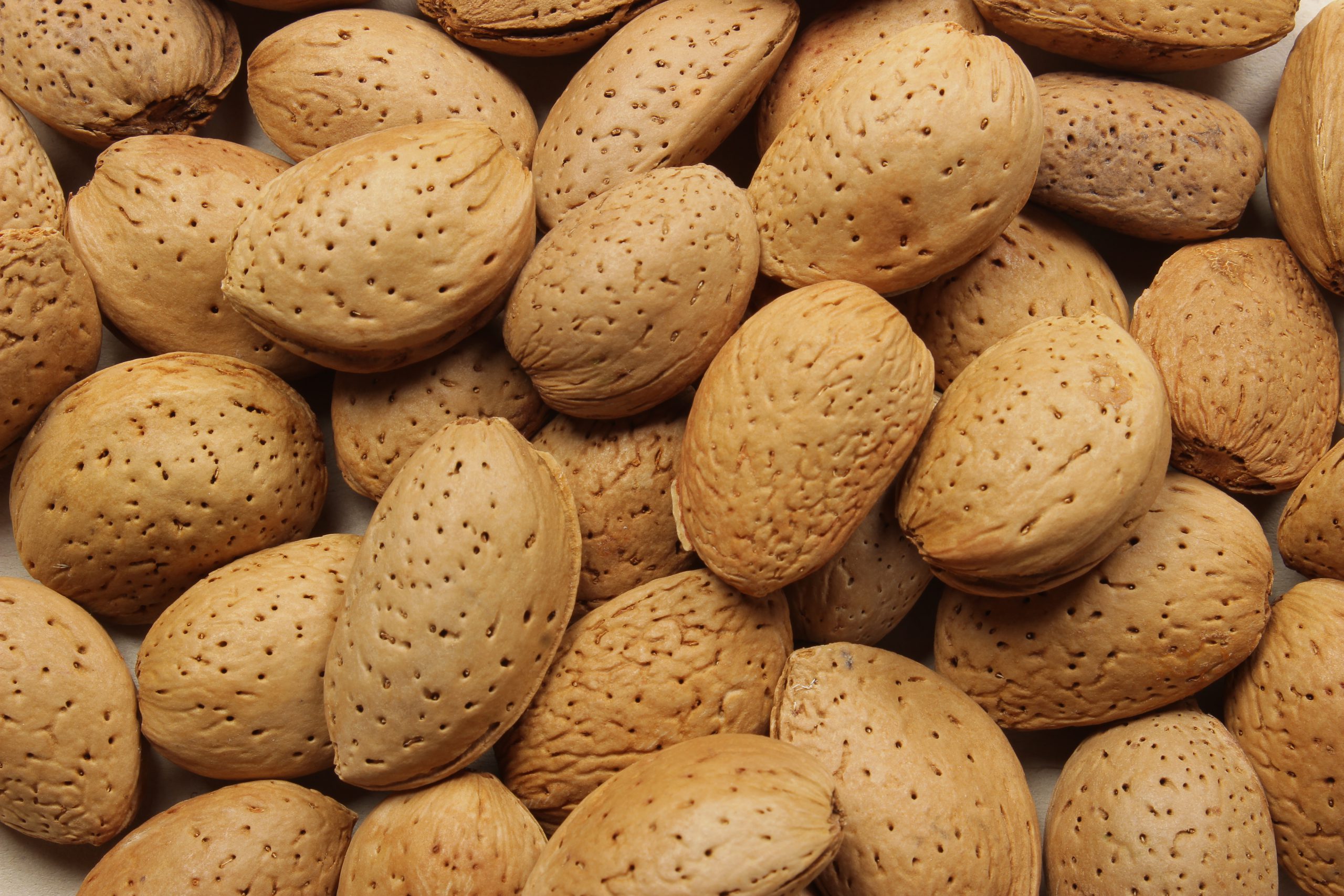 The Best Iranian almonds Supplier / Nutex , Iran dry fruit company, exports the best kind of Iranian almond at the most affordable prices around the world.