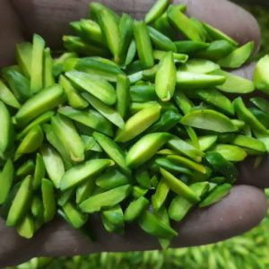 Sell ​​sliced ​​pistachios and almonds to Kuwait