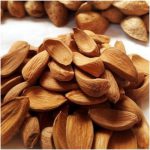 selling Iranian Mamra almond /Export Mamra almond 