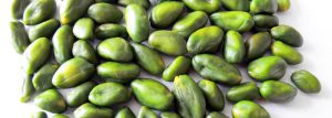 Green Peeled Pistachio Kernels for Netherlands