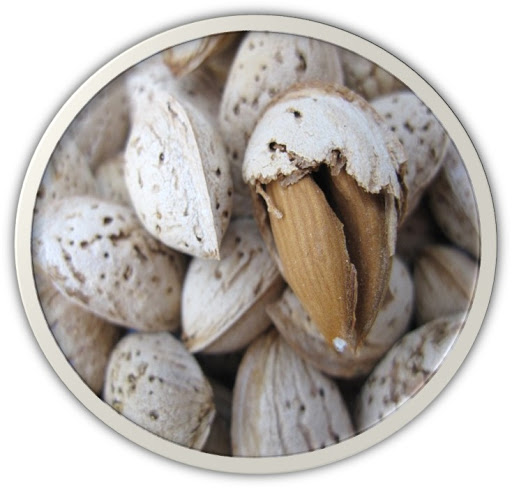 Sale of ​​Moheb almonds