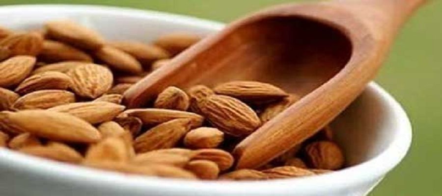 Sale price of mamra almond kernels for export / import