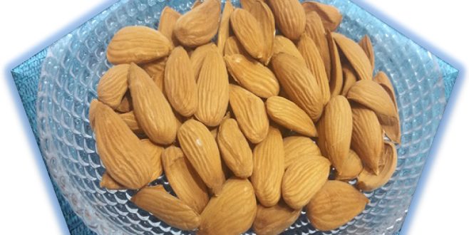 Sale of classy Mamra almonds / Iranian exporter