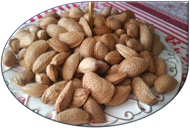High Quality Irani Mamra Almonds/Badam