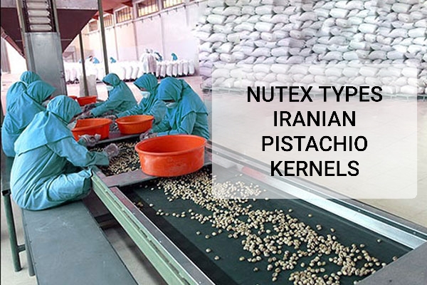 Nutex Types of Iranian Pistachio Kernels
