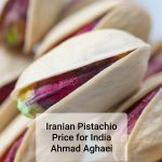 Iranian Pistachio Price for India / White Skin Ahmad Aghaei