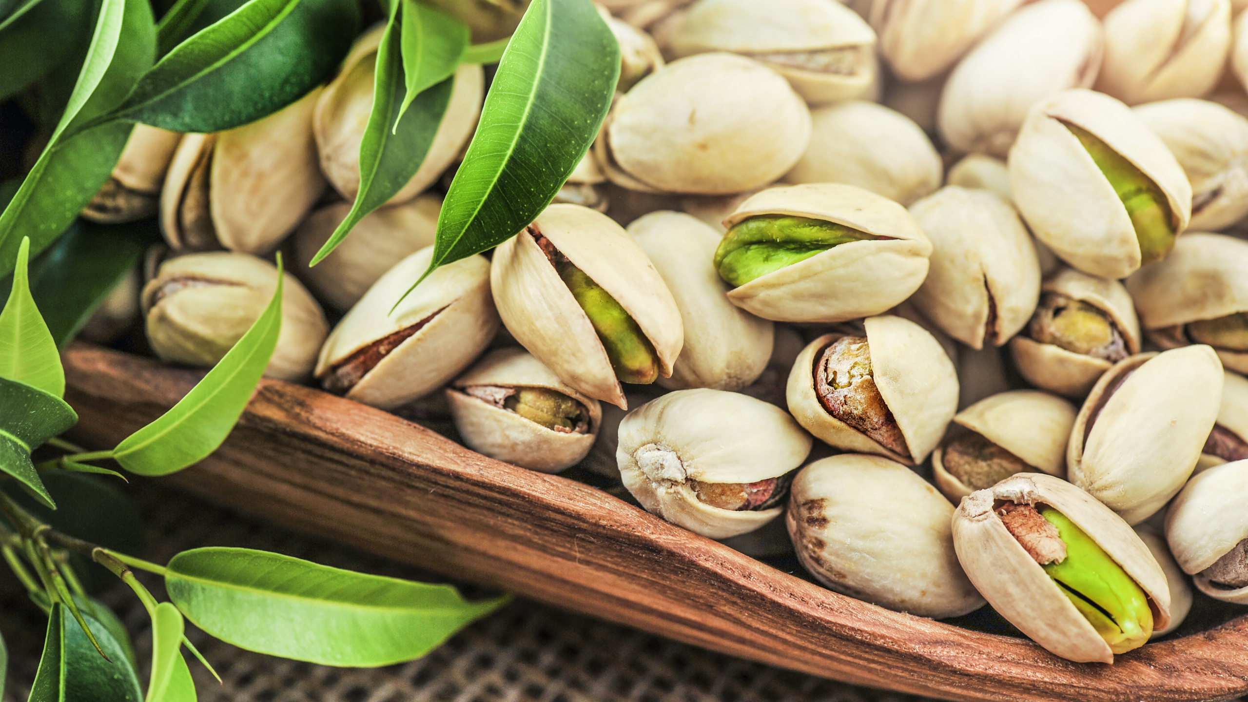 Supply Pistachios for Oman | Nutex Iranian Nuts Exporter