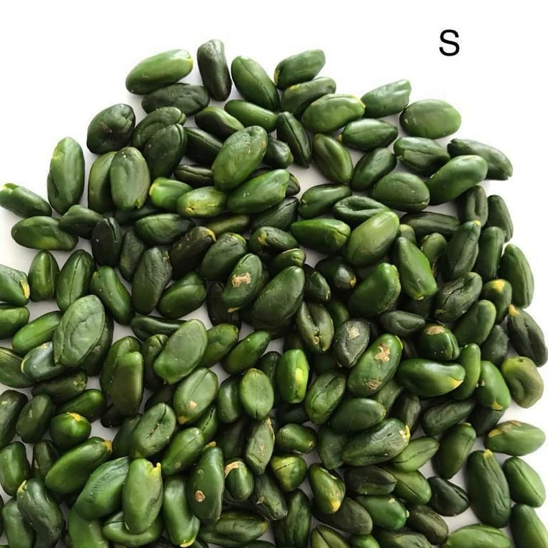 Production Center of Nutex Nuts Pistachios