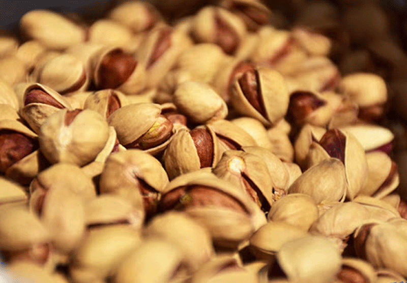 Hazelnut pistachios are the best option for export
