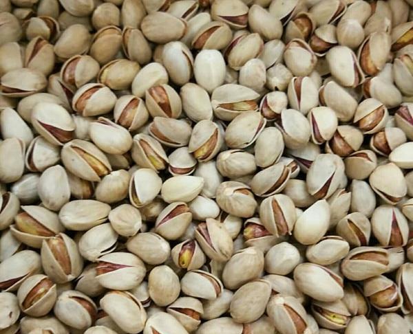 Iranian Pistachio Nuts Export/Import
