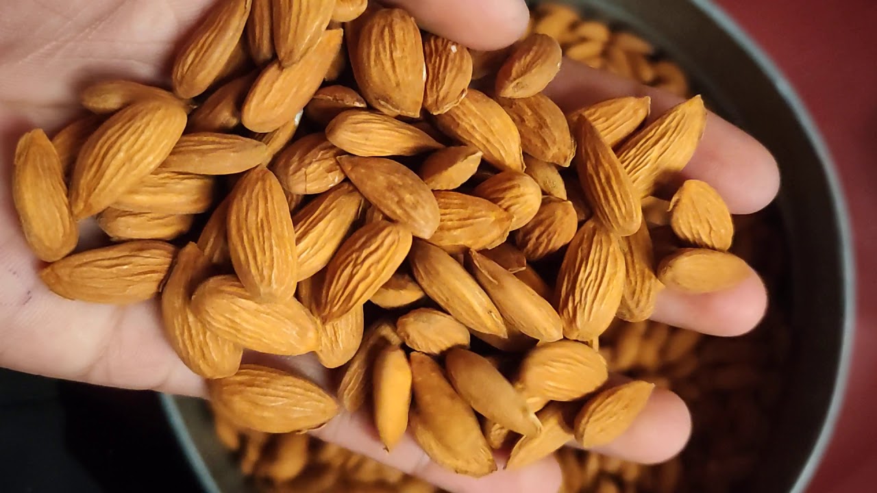 Buy Mamra almonds | Buy Mamra Badam | Organic Mamra Almond _ Nutex Company