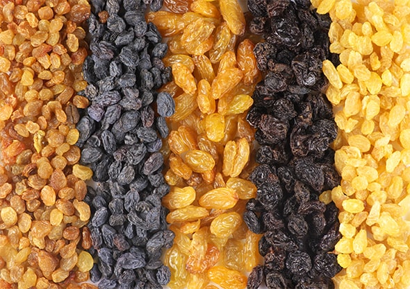 What are the top countries in the field of buying and selling raisins for export?