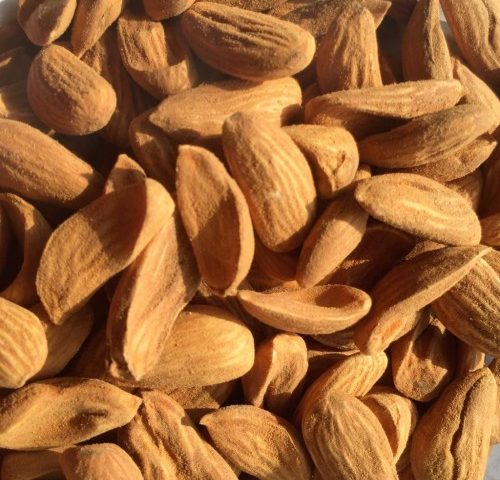 wholesale price of Iranian Mamra almonds