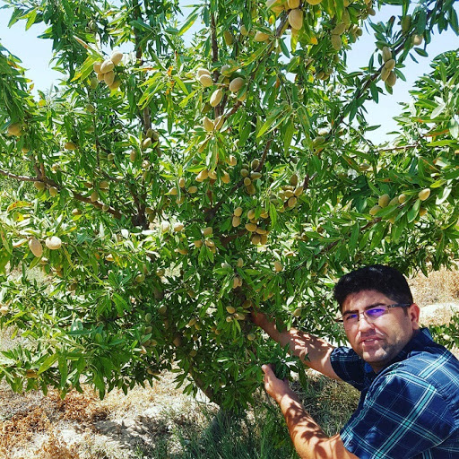 Familiarity with how to plant almonds