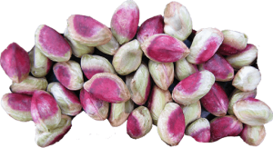Iranian Raw and Roasted Pistachio Kernels
